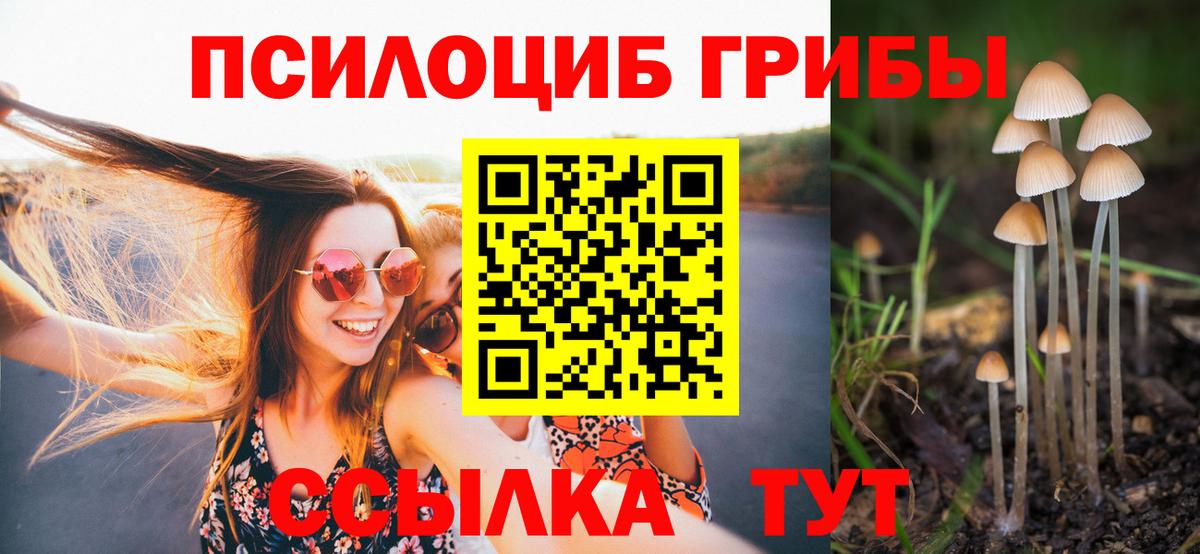 Псилоцибиновые грибы мухоморы  Псилоцибиновые грибы Magic Shrooms  Кимовск  Вход с VPN 