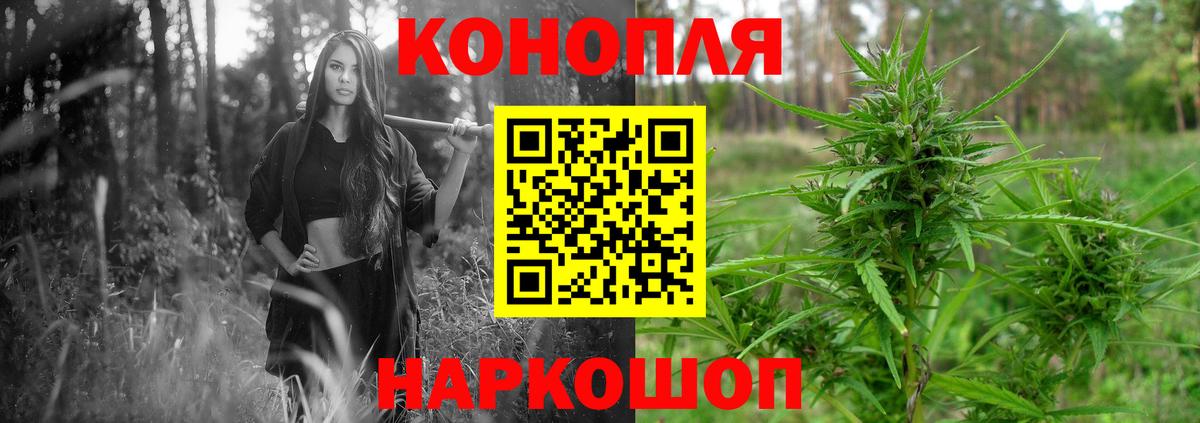 Бошки марихуана план Кимовск